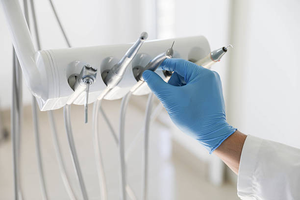 Professional Dental technician working in Palm River-Clair Mel, FL