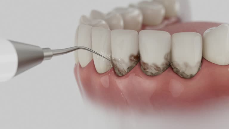 Reliable Dental contractor in Palm River-Clair Mel, FL by Dentist Open Now
